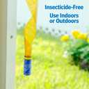 3 x Raid FR10-RAID Fly Ribbon, 10 Count