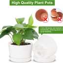 Oliz 4.7 Inch Plastic Plant Pots, Round Classic Planters with Drainage Holes and Saucers for Indoor Outdoor Plants, Perfect for African Violet, Snake Plant, Succulents (White 8 Pack)