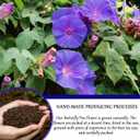 Butterfly Pea Flower Tea Bags - Gokarna Flower Tea, Transparent triangle teabag, Premium Dried Butterfly Pea Flowers, 100% Natural | No Sugar | No Caffeine | No Gluten | Vegan 2.82Oz (1) (EXP 10/28/26)