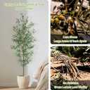 Artificial Olive Tree, 7FT Tall Faux Olive Trees 84in Outdoor Fake Potted Silk Plant with Trunk and Realistic 1048 Leaves and 40 Fruits for Modern Office Home Decor Indoor1pack