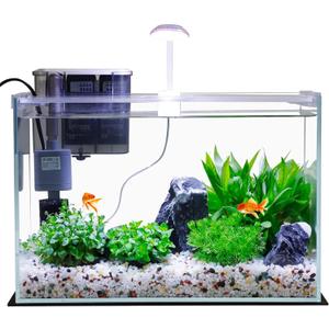 Vimvins 5 Gallon Glass Small Fish Tank with Filter Light and Lid, Betta Aquarium Starter Kits