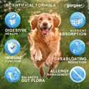 2 x Gargeer Daily Probiotics & Prebiotics for Dogs. Supports Healthy Digestion, Gut Flora & Proper Immune System. for All Dog Breeds & Ages, 60 Delicious Duck Flavored Soft Chews. Made in the USA