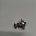 CST 7354192 Thermostat, Pack of 2