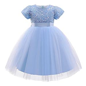 TTYAOVO Girl Flower Pageant Princess Party Tulle Dress (2-3T, 2068 Pink Rainbow)