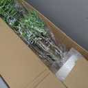 Artificial Fake Olive Tree 6FT Tall 1Pack with White Planter Faux Silk Olive Tree for Home Living Room Office Decor Faux Artificial Plants Indoor with Fruit & Free Moss