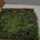 Real Touch Cedar Garland - Artificial Christmas Garlands Faux Green Cedar Fake Pine Needles Garland for Fireplace,Table, Stairs, Mantle, Window,Indoor Outdoor,Home,Holiday Decor(1 PCS,9 FT)