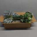 120 Pcs Artificial Eucalyptus Leaves Stems Bulk, Realistic Fake Greenery with 4 Kinds Mixed Silver Dollar, Faux Plants for DIY Floral Arrangements, Wedding Bouquets, Home, Party, Vase Decor