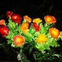 Solar Flowers Lights, 1 Pack Solar Garden Lights with 14 Blooming Flowers, Waterproof Solar Outdoor Fairy Lights for Outside Yard, Garden, Pathway, Walkway, Patio, Lawn, Cemetery, Grave Decor (Red/Pink/Orange/Yellow)