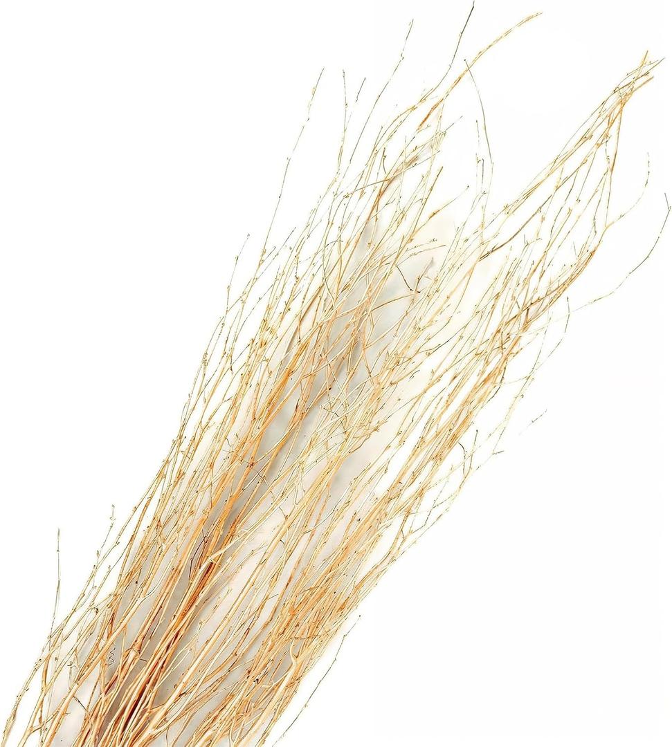 Branches for Vase, 3'4' Natural Birch Tree Branches for Decoration, Bundle of 10 Tall Decorative Sticks for Vases, Rustic Wood Branches for Crafts, Weddings, Seasonal & Home Décor - Gold