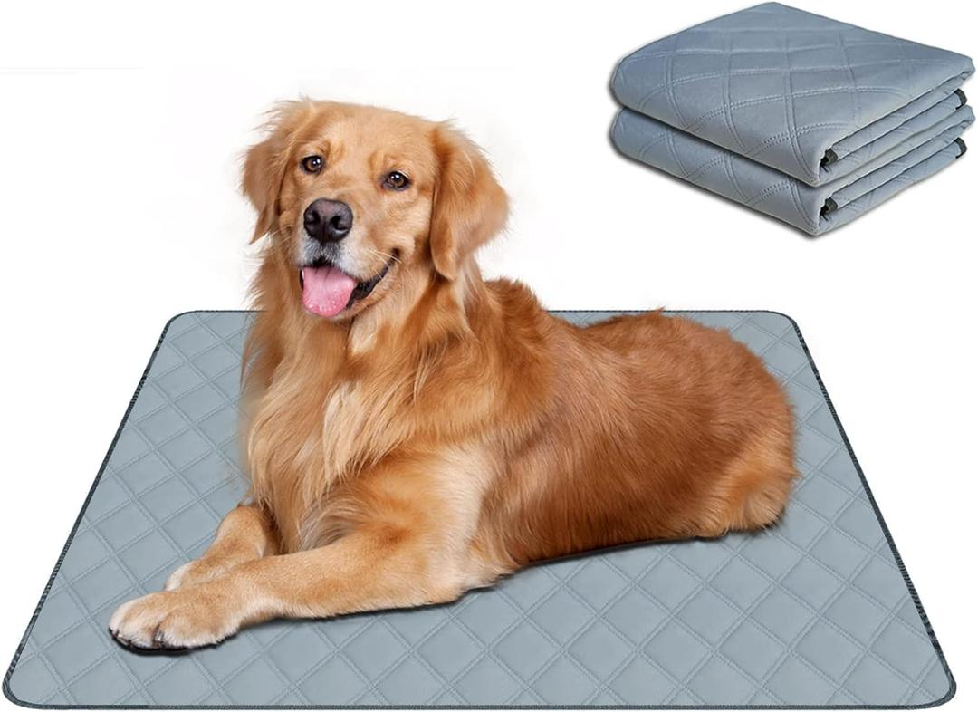 RIOUSSI Washable Pee Pads for Dogs, Reusable, Absorbent, Leakproof, Non Slip Pet Puppy Pads for Potty Training. Light Gray, 18x24 Inch(2pack)