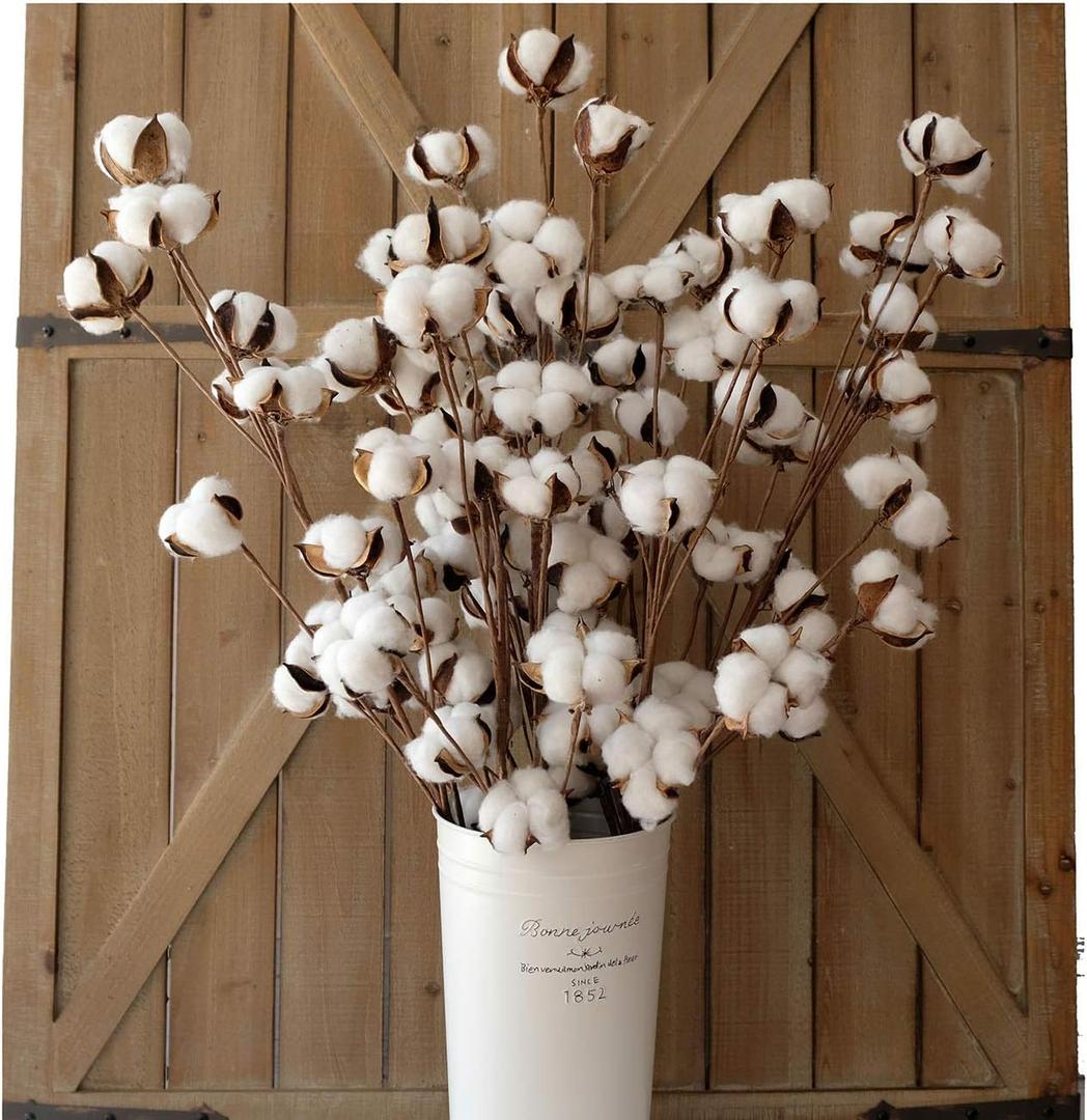 idyllic Cotton Stems Decor Branches, Cotton Flowers Plants for Decorations, Dried Flowers for Vase, Pack of 6-31 Inches Tall - 12 Bolls per Stem