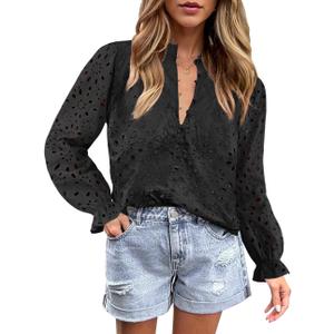 ZESICA Women's Casual Blouse Tops Puff Long Sleeve Button V Neck Hollow Out Eyelet Lace Embroidered Shirt Dressy (Black, L)