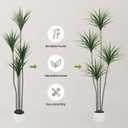 2Pcs 6FT Artificial Dracaena Tree, Tall Artificial Plants Indoor