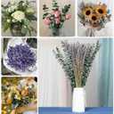 115 PCS Mixed Dried Eucalyptus Stems with Lavender Flowers Bundle for Shower, 17'' Natural Eucalyptus Leaves Branches Hanging Shower Plant for SPA Home Fragrance Bathroom Table Vase Decor