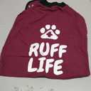 BellyGuard Recovery Suit for Dogs, Comfy Dog Surgery Suit, Female Spay and Male Neuter Onesie for Post-Op Care