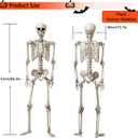 KANKUN 5 FT Halloween Skeleton, Full Body Stayable Movable Joints, Posable Hanging Skeletons for Halloween Decoration