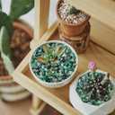 Halatool 4LB Green Aquarium Gravel for Fish Tank 0.35"- 0.6" Natural Landscaping Pebbles for Decorations Small Succulent Rocks for Indoor Outdoor Plants DIY Crafts & Vase Filler