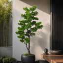5.5FT Artificial Bonsai Tree Large Faux Plants Indoor Tall Realistic Fake Plants with Ceramic Pot and Moss for Home Decor Living Room Corner Entryway - Silk Green Leaves Low Maintenance