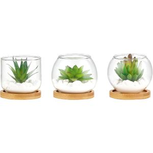 Mkono Artificial Succulent in Clear Glass Pot, 3 Mini Potted Fake Plants for Women Office Decor Small Faux Green Plant with BambooTray for Bookshelf Bathroom Kitchen Tabletop Centerpiece