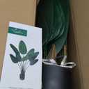4 Ft Artificial Bird of Paradise Plant,Faux Plants Indoor Tall Fake Plants Decor-Artificial Plants Indoor & Outdoor