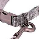 Unique Stlye Paws Strong Dog Leash with Soft & Comfortabel Handle Multipurpose Leashes for Small Medium Large Dogs and Cats (XS, Gentry)