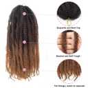 Marley Hair 18 Inch Marley Twist Hair Afro Twist Marley Braiding Hair for Faux Locs Crochet Hair Synthetic Hair Extensions(1B/4/30, 18inch)