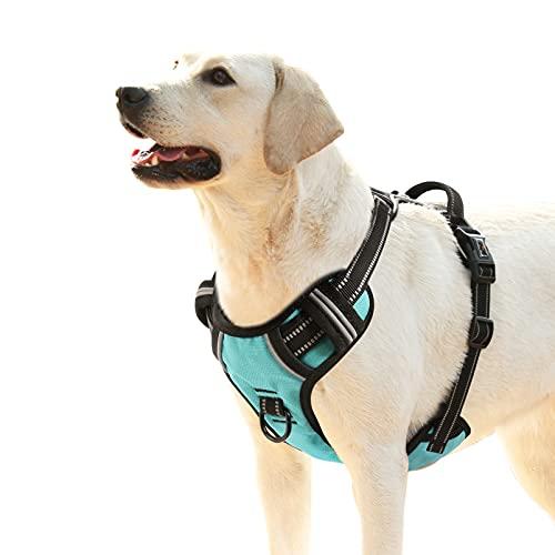 HEELE Dog Harness, No Pull Adjustable Padded Reflective Harness for Small Medium Large Dogs with Handle for Walking Training, Turquoisek, L