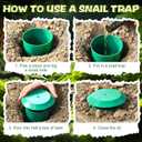 Qualirey 5 Pcs Beer Trap for Snails and Slugs, Reusable Plastic Snail Catcher Container (Beer Not Included), Physical Trap for Garden (Green)