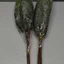 Juxdp Real Touch Christmas Cedar Branches-18 Inches, Artificial Cedar Branch Faux Greenery Plants Stem Fake Pine Picks for Vase DIY Crafts Garland Wreath Xmas Indoor Outdoor Decor (12 Pcs)