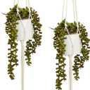 Hanging Artificial String of Pearls Plant with White Ceramic Pot for Wall Decor, House Warming Gift (31 In, 2 Pack)