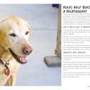 How to Train Your Dog: A Relationship-Based Approach for a Well-Behaved Dog