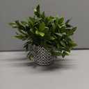 Ceramic Planter 4 Inch Plant Pots Indoor Outdoor Succulent Plant Pot Flower Pots Mid-Century Planter Ceramic Pot (Rhombus)
