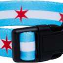 Native Pup Chicago Flag Dog Collar (Chicago Big Stars, Medium) (Medium (Pack of 1))