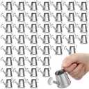 Layhit 50 Pcs Mini Watering Can Miniature Galvanized Watering Pot Garden Water Can Mini Kettle for House Crafts Garden Ornaments Gardening Landscape Party Favors, 3.35 x 1.57 x 1.97 Inches, Silver