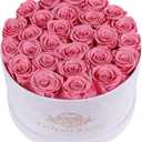 27 Flowers in a Luxury Suede Box, Birthday Gifts for Women, Preserved Flowers, Mothers Day Roses Gift for Mom, Light Pink