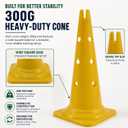 Dog Agility Equipment, 20-Inch Hurdle Set, 10.6 oz Weighted Cones