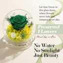 Mothers Day Birthday Gifts for Her Women Preserved Rose Forever Flower in Glass Dome Fresh Flowers Prime Valentines Day Anniversary Rose for Girlfriend Wife Sister Grandma (Green)