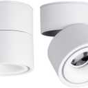 LED Ceiling Spotlight-Indoor 360Adjustable Surface Mounted 10W COB Ceiling Downlight-Wall Lamp for Picture Background Wall Display Lighting(White,3000K Warm Light)