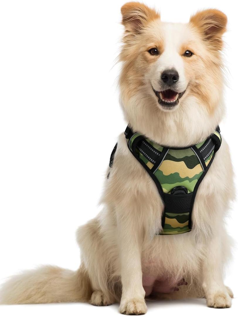 rabbitgoo Dog Harness No Pull with 2 Leash Clips, Adjustable Soft Padded, Reflective Oxford No Choke Pet Vest with Easy Control Handle for  Dogs, Green Mountain, M