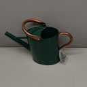 Metal Watering Can for Outdoor and Indoor Plants, Watering Can Decor, 1 Gallon (NewGreen)