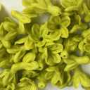50 PCS Pakalana 03 Cowslip Creeper Flower Clay Beads for Jewelry Making DIY Craft Supplies