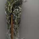 Faux Olive Tree 6FT, Artificial Potted Tree with Planter, Silk Plants Indoor Outdoor, Lifelike Olive Plants with Natural Wood Trunk, Fruits and Buds, Home Office Decor, 1 Pack