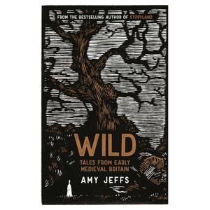 Wild: Tales from Early Medieval Britain by Amy Jeffs