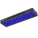 WILLS Full Spectrum Aquarium Light, Reef Lights for Coral with Dual Dimmable Channels, 105 Premium SMD Chips, Daisy Chain Design, Hanging Saltwater Fish Tank Light for SPS/LPS Coral Reef (300W/Black)
