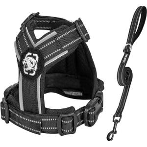 OneTigris Dog Harness and Leash Set, No Pull Soft Mesh Pet Harness, Reflective Adjustable Puppy Vest for ANTZ Small Medium Large Dogs, Cats (Black, XXXS)
