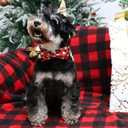 Christmas Dog Collar with Bow Tie, Christmas Collar for Puppy Girl Boy Dog or Cat, Bowtie Dog Collar with Durable Metal Buckle, Cute Pet Collar, L