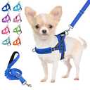 Lukovee No Pull Dog Harness and Leash Set, Soft Padded Small Dog Harness, Neck & Chest Adjustable Reflective Vest Puppy Harness with 4ft Lightweight Anti-Twist Dog Leash for Small Dogs (Blue, M)