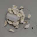 Beach Seashell Decorative String Lights 14.1Ft 40 Warm White LED Waterproof Battery Operated Ocean String Lights for Bedroom Wedding Holiday Party Garden Indoor Outdoor Decorations