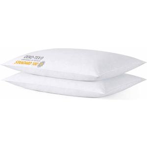 iFaon Thin Flat Slim Ultra Soft Bed Pillows Standard Size Set of 2 Pack for Sleeping, Bed Pillow for Stomach Back and Side Sleepers, Machine Washable 20x26 inches