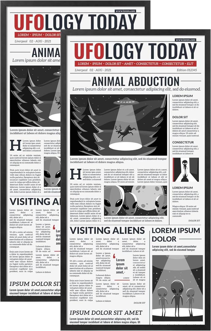 DOAI ART 11x22 Newspaper Frame 2 Pack, Black 11x22 Frames for Horizontal or Vertical Wall Mounting, Scratch-proof Safe and Artistic Large Photo Frame Wall Art